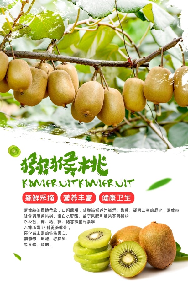 猕猴桃水果活动宣传海报素材图片