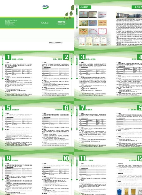 生物酶制剂产品画册图片