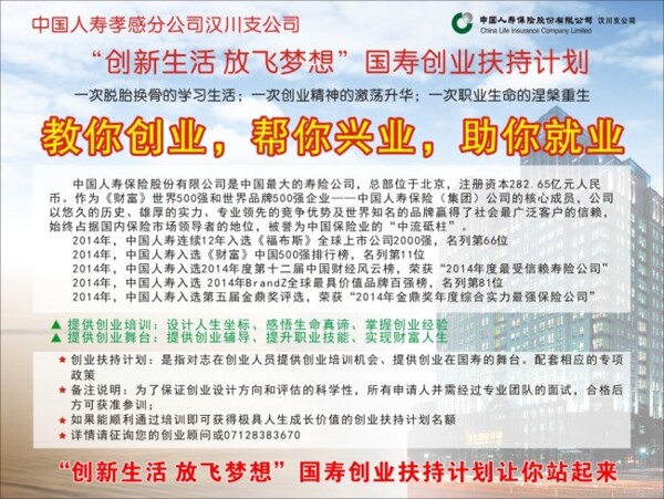 中国人寿保险宣传海报