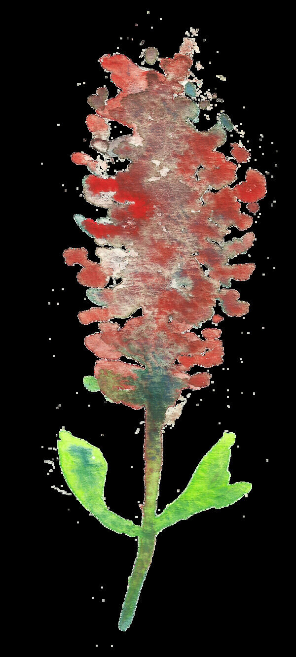 红色水墨点缀花卉卡通水彩透明素材