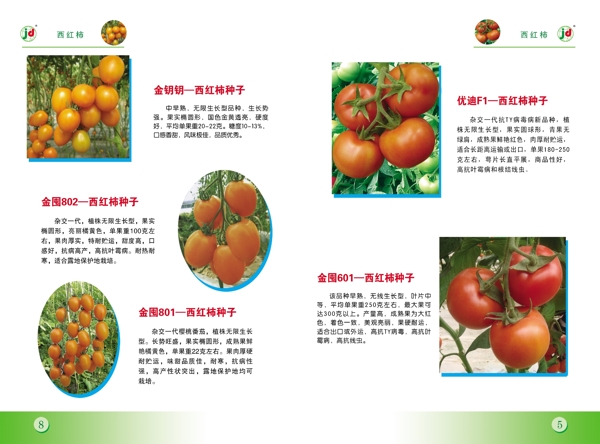 画册绿色蔬菜图片