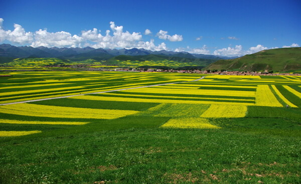 田野风景图片