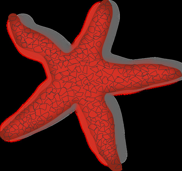 血红色漂亮海星免抠png透明图层素材