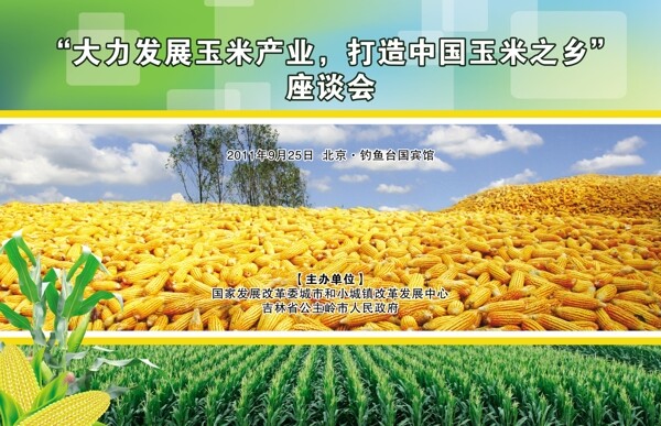 玉米产业座谈会