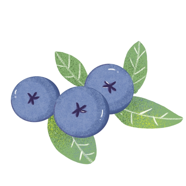 水果插画蓝莓PNG元素