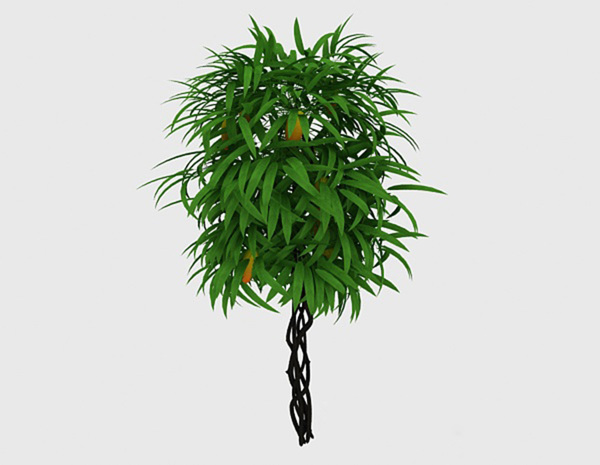 藤蔓装饰植物3d模型下载