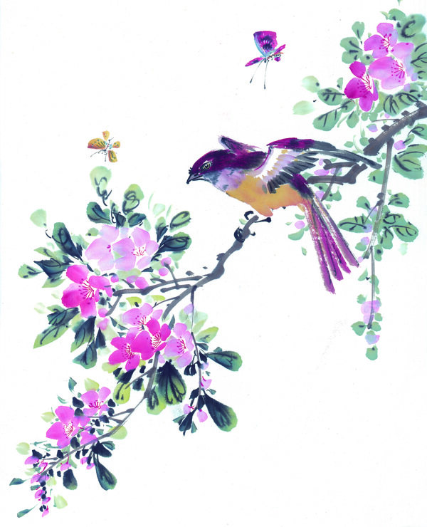 鲜花与小鸟插画背景图片