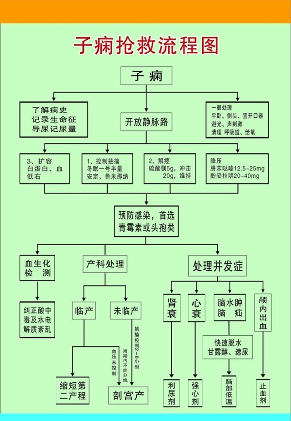 子痫抢救流程图图片