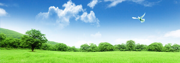 蓝色天空绿色草地背景图