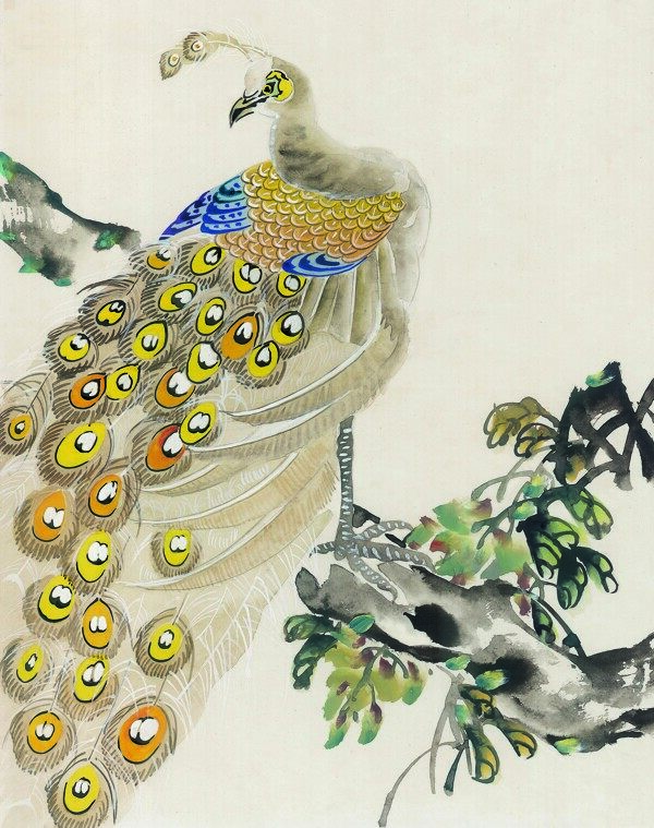 花鸟中国画53