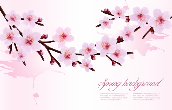 春天粉红色花朵背景矢量图形02