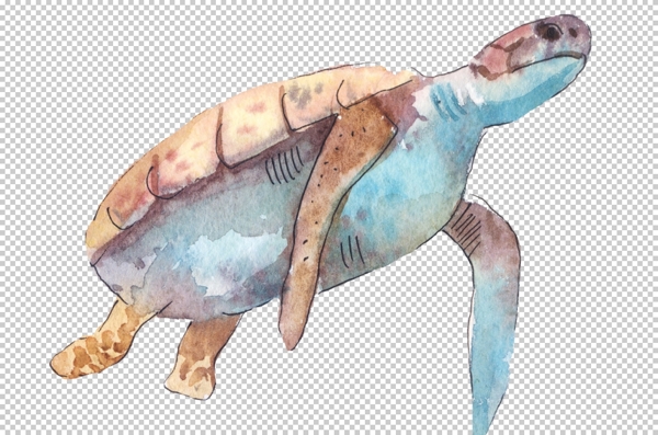 蓝色手绘海龟图案