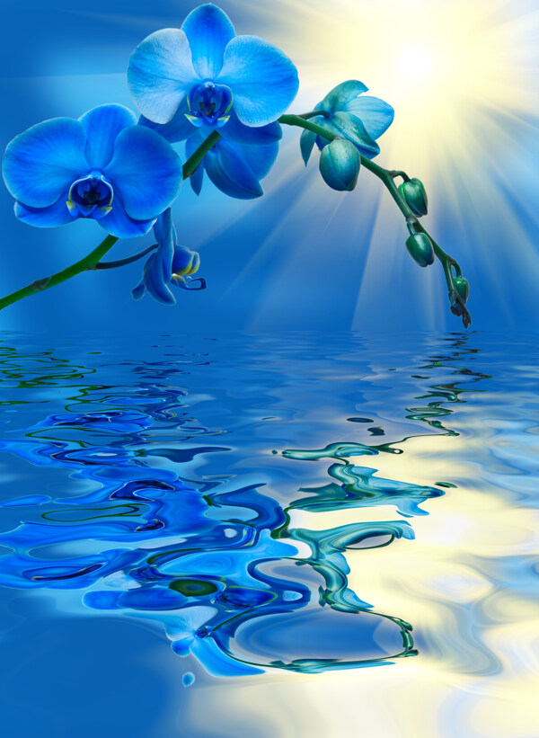 蓝色鲜花与水面倒影图片