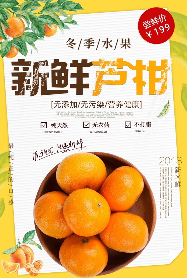 水果新鲜芦柑海报