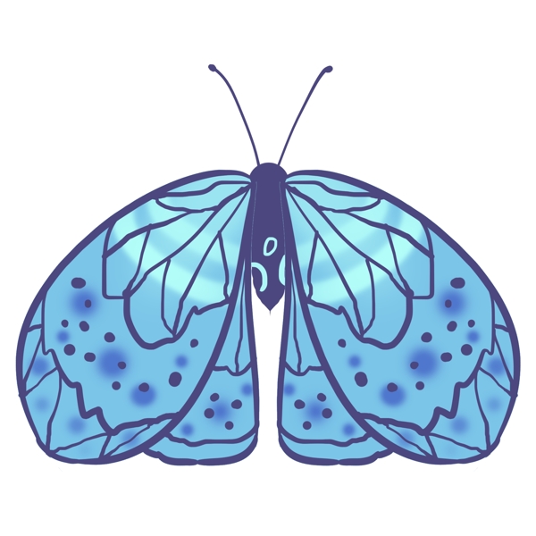 昆虫蝴蝶蓝色