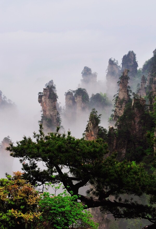 张家界峰林图片