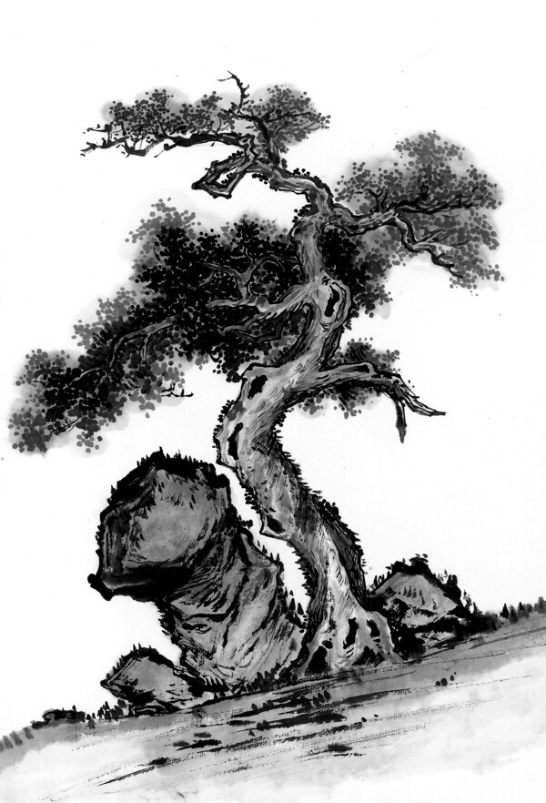 水墨画之石头边树干弯曲的松树