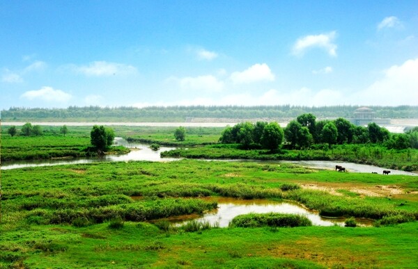 西安浐灞国家生态湿地公园图片