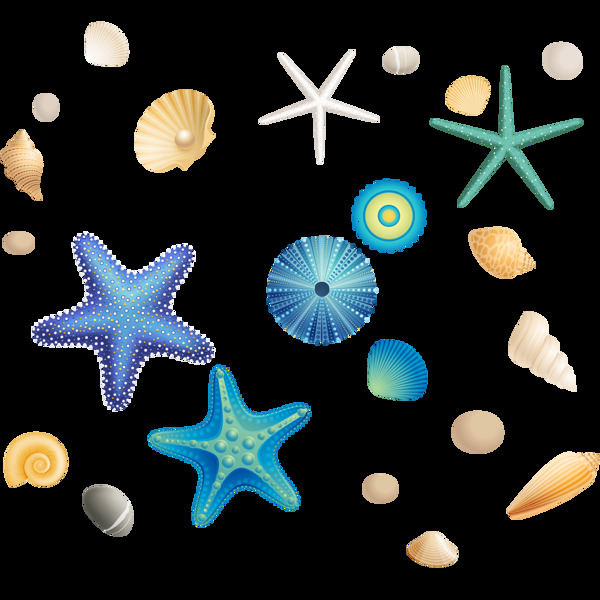 卡通彩色海洋贝壳png元素