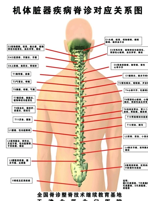 肌体脏器疾病诊断对应关系图