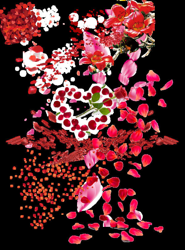 玫瑰花花瓣素材图片