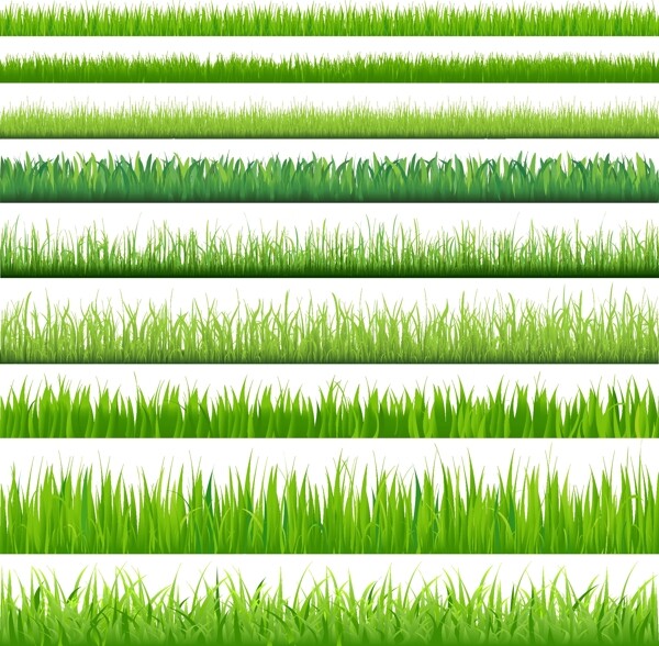 绿化小青草矢量素材
