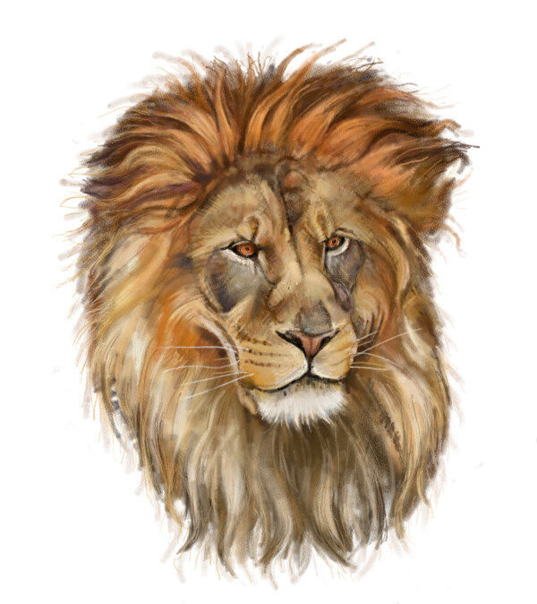 狮子油画写生