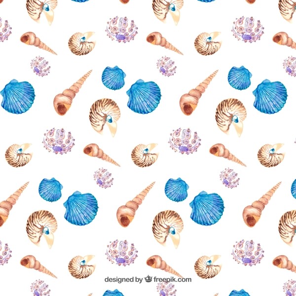 海螺贝壳花纹背景图