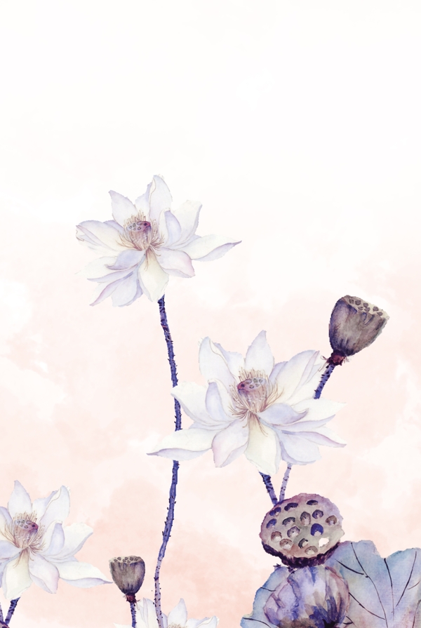 花卉水墨装饰画
