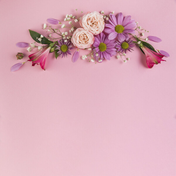 粉色背景花卉装饰