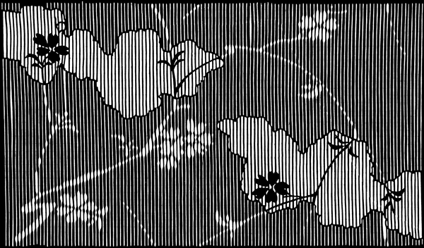 全球花纹图案装饰图案现代图案0316