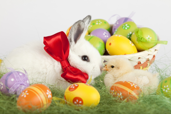 复活节彩蛋和兔子图片
