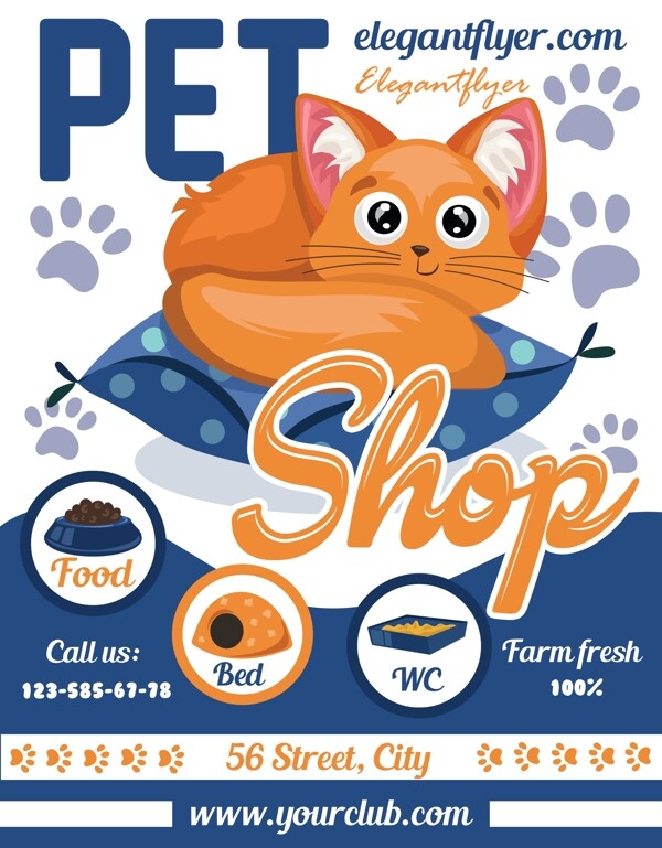 宠物店宠物猫广告海报