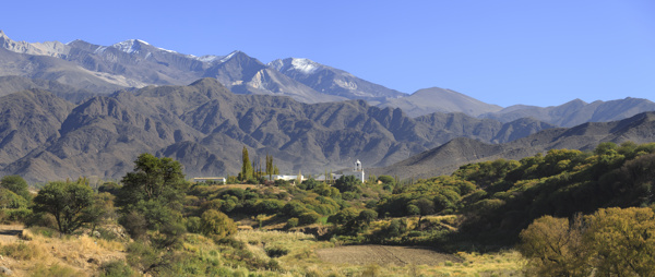 高原山峰树林风景