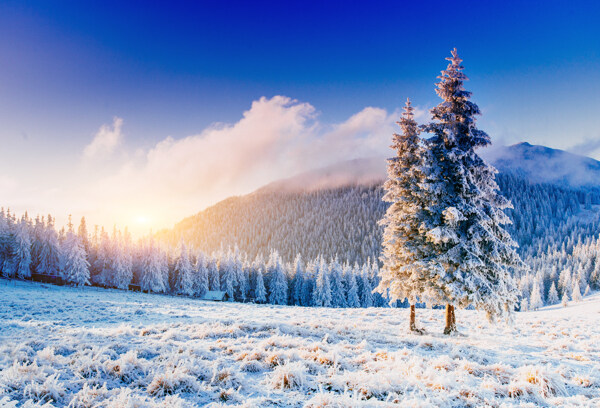 祖山雪景