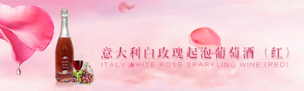 红酒banner