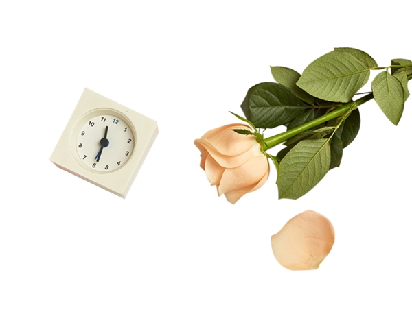 闹钟和玫瑰花花瓣
