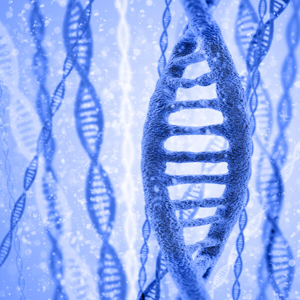 显微镜下的DNA结构图片