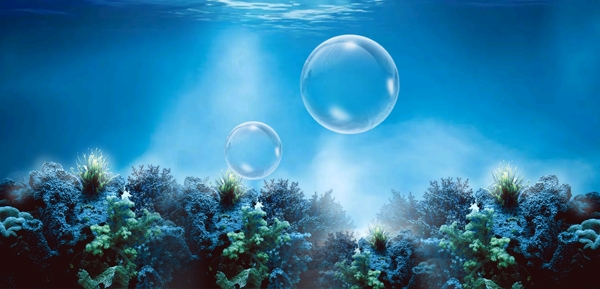 海洋珊瑚水泡气泡圆形泡泡