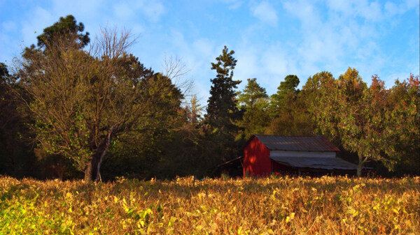 秋天草地房屋风景图片