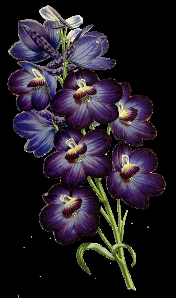 淡紫花粉卡通透明素材