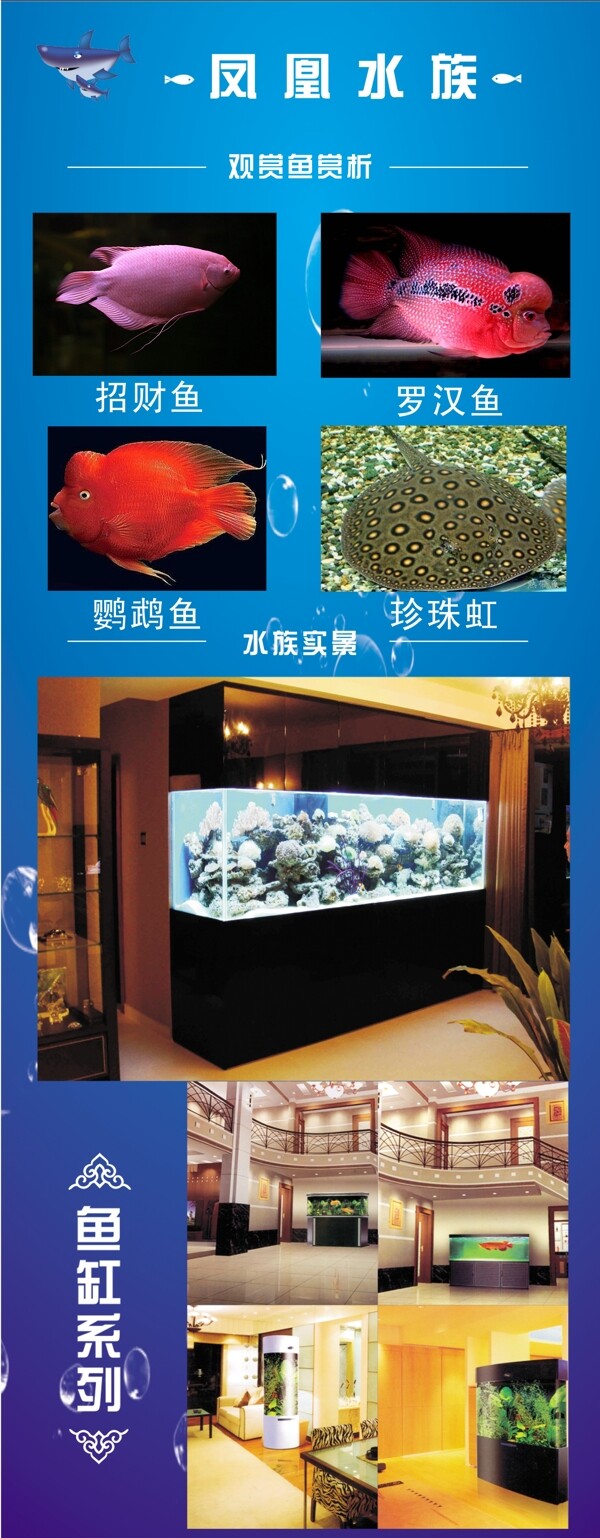 水族馆海报图片