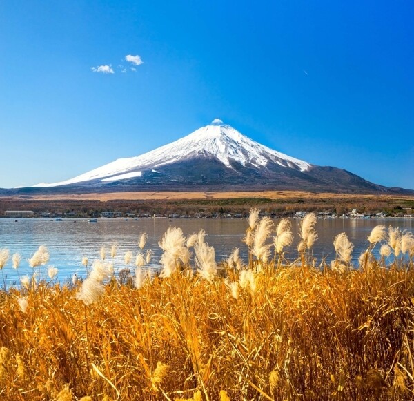 富士山