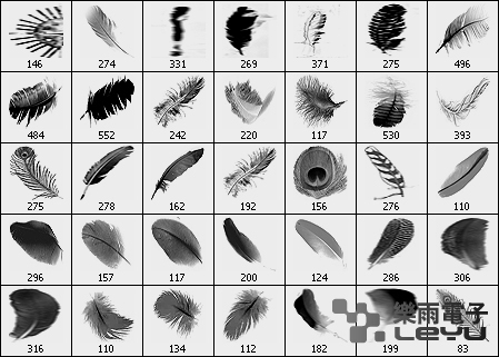 35种高清羽毛笔刷