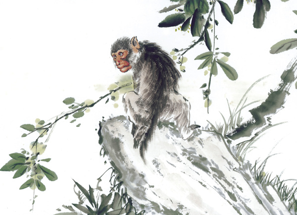 猴写意动物画国画0034