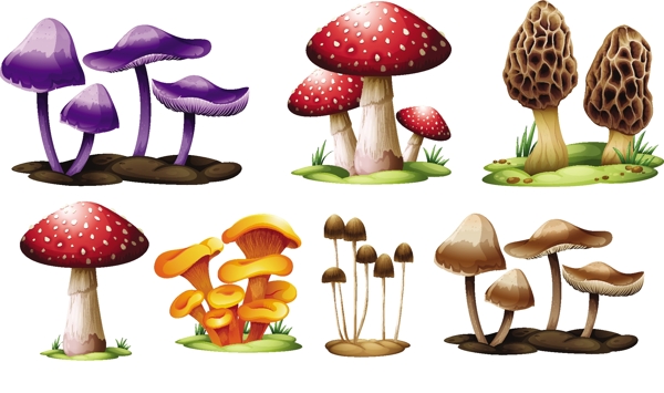 卡通蘑菇矢量