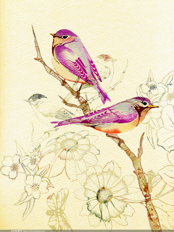 花枝上的小鸟插画图