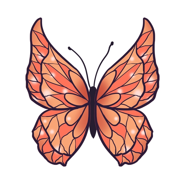 橙色靓丽蝴蝶