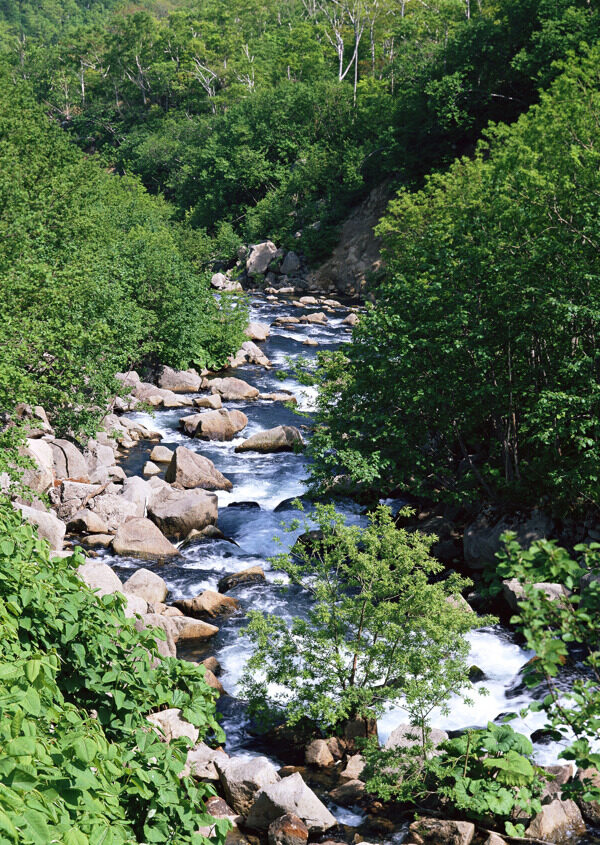 山溪山水图片