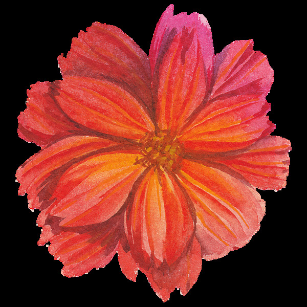 红色花朵水彩透明花朵素材